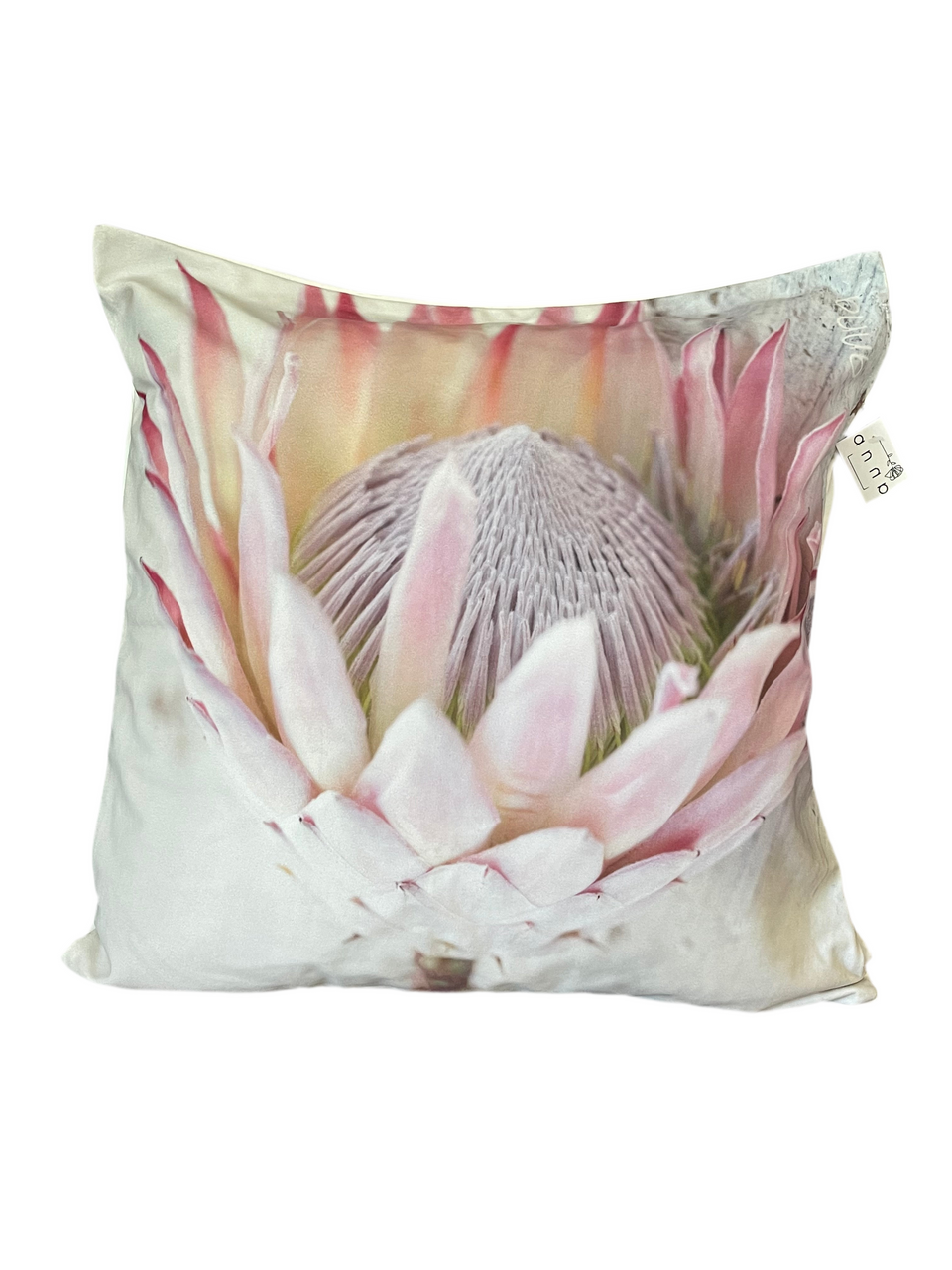 Anna's Pink Protea Pillow Cover