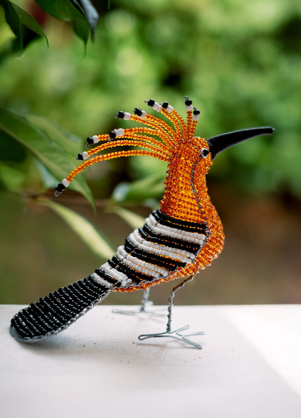 Beaded African Hoopoe Bird