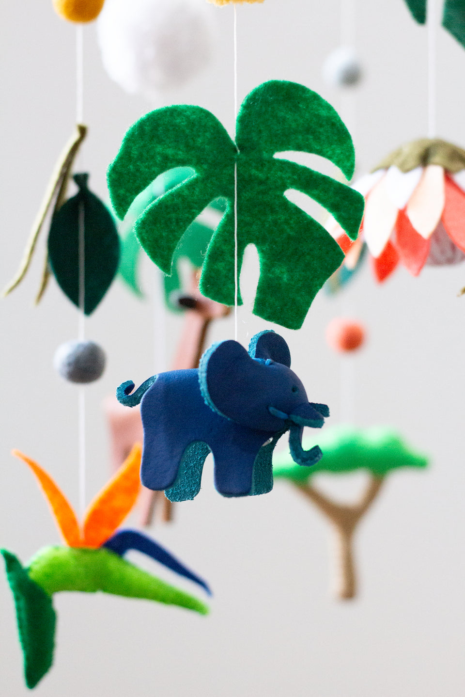 Protea & Safari Sky Mobile