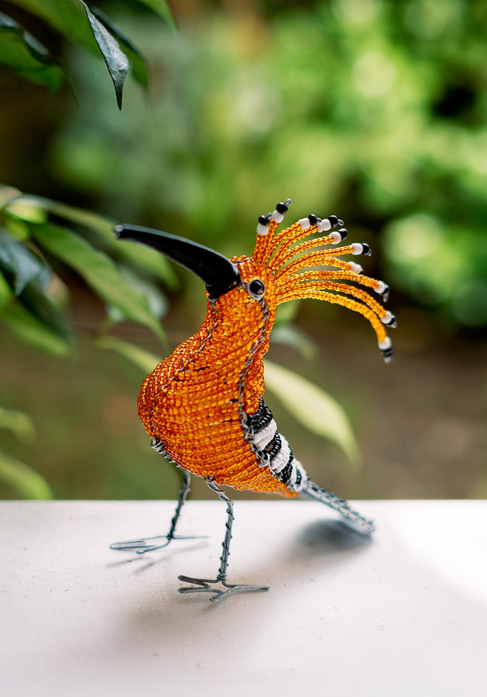 Beaded African Hoopoe Bird