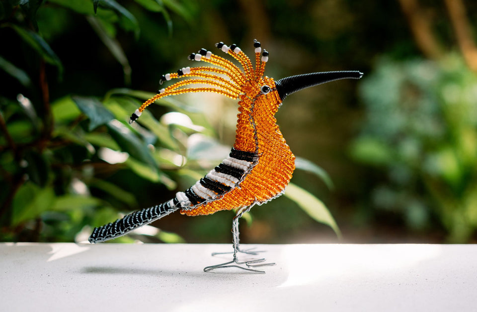 Beaded African Hoopoe Bird