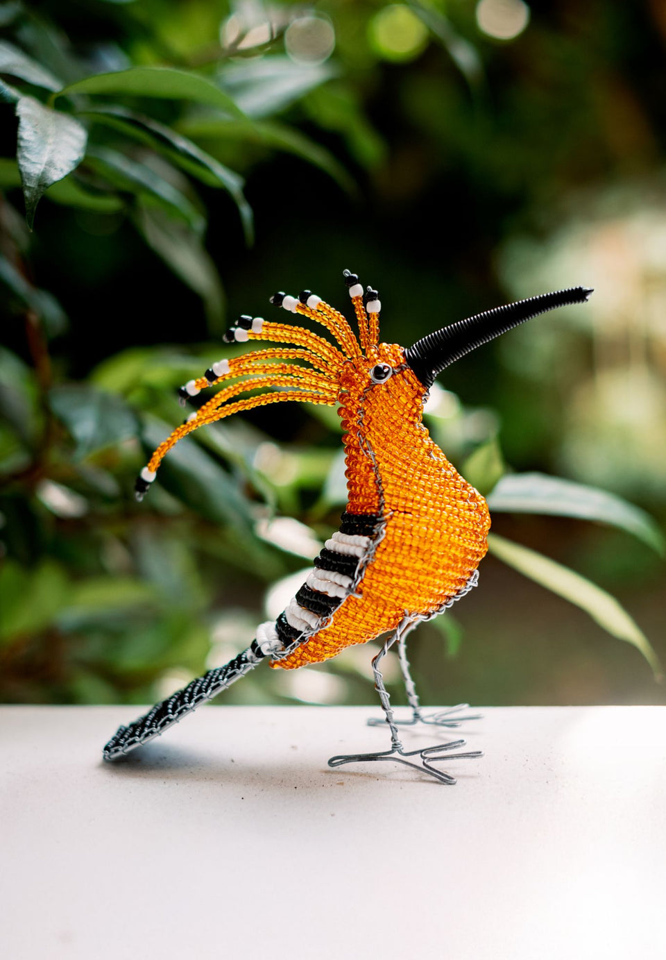 Beaded African Hoopoe Bird