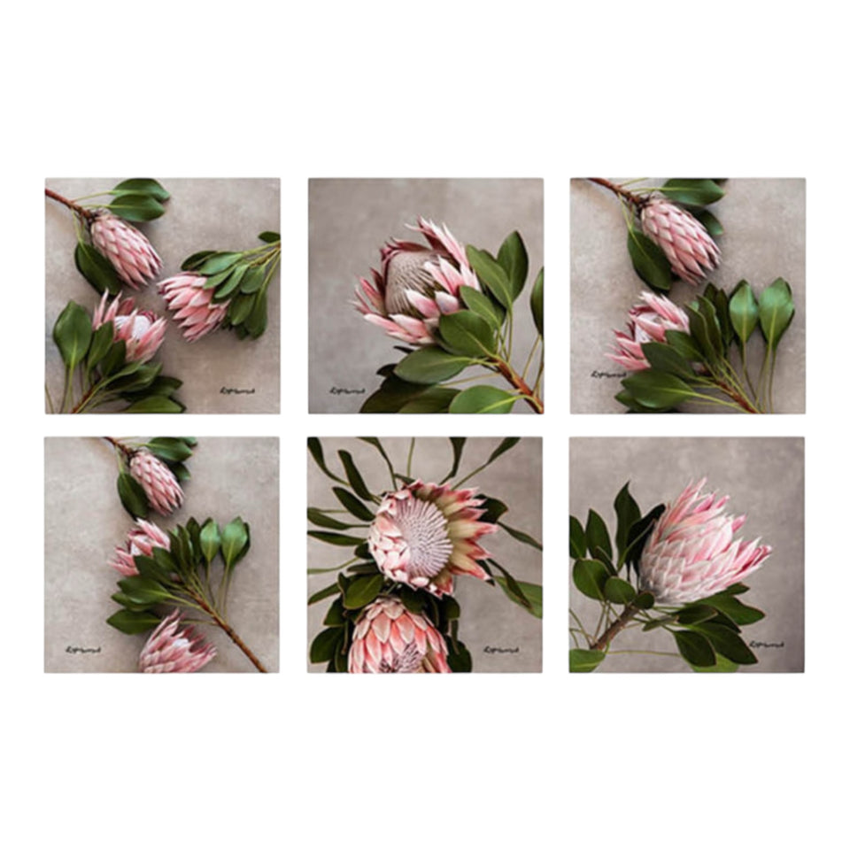 Protea Aria Coasters (Set of 6)