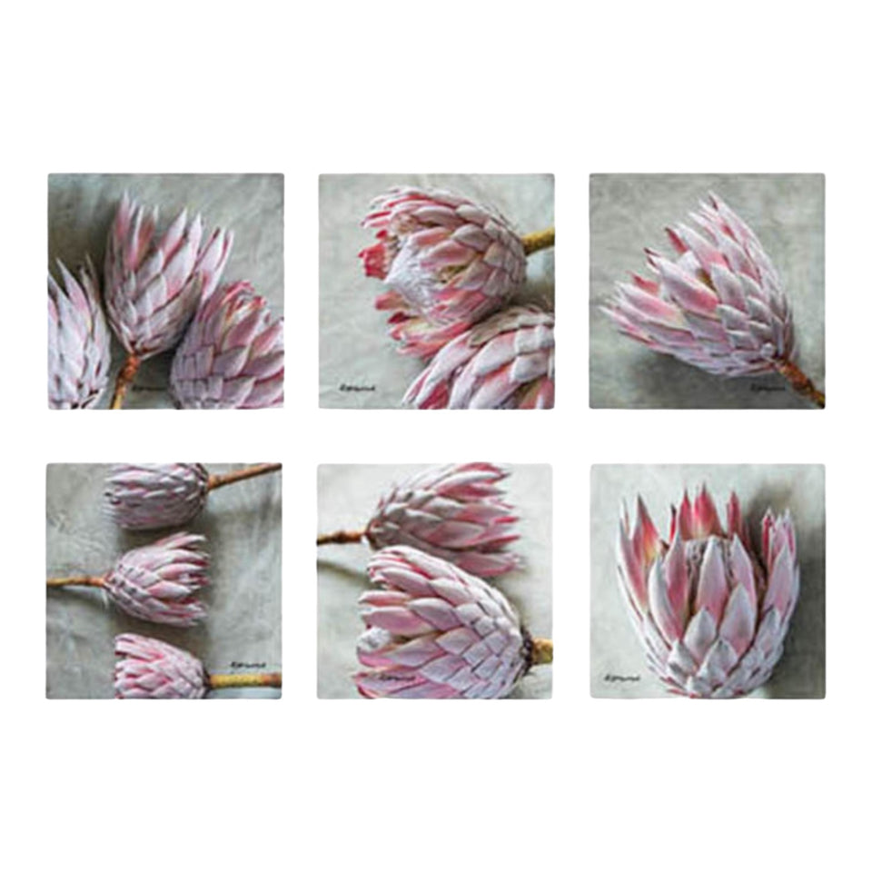 Painted Pink Protea Coasters (Set of 6)