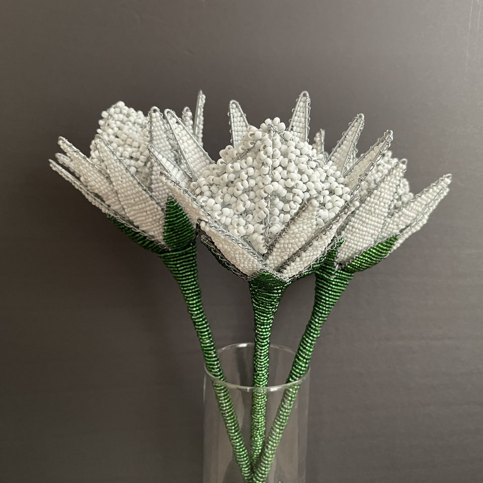 Beaded Protea Flower in White with Green Stem