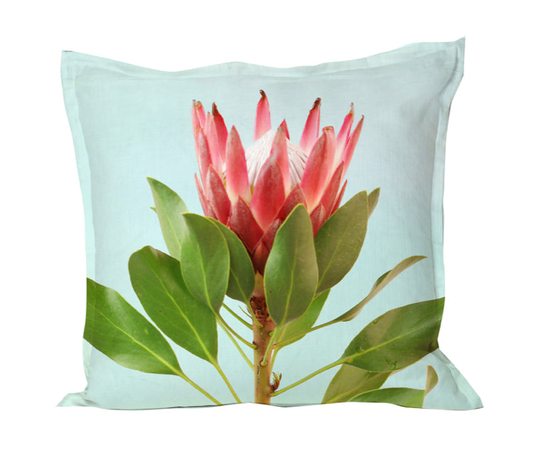 Protea on Blue Pillow Cover