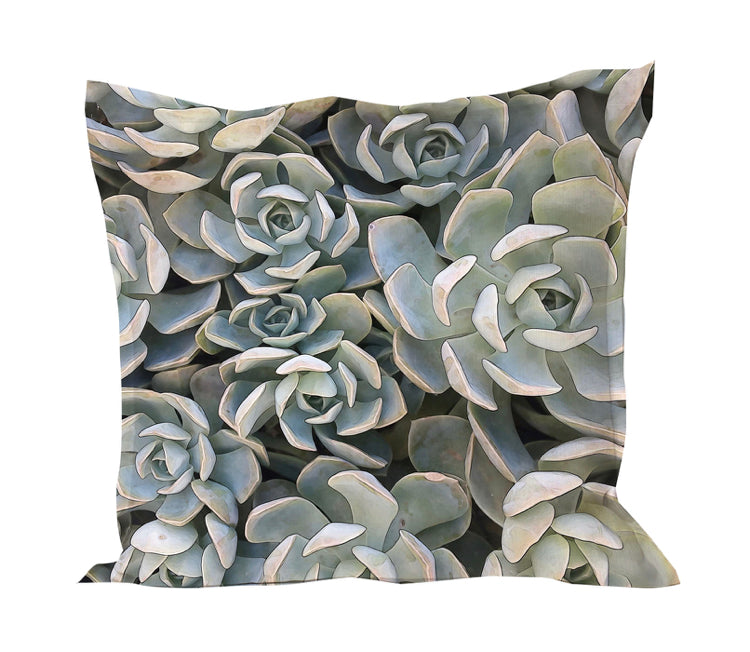 Succulent Pillow Cover