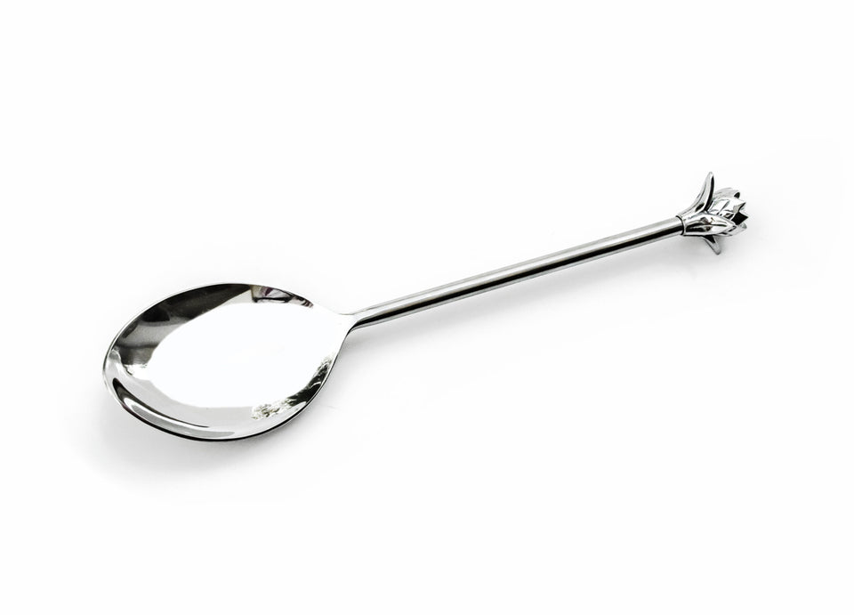 Protea Stainless Steel Serving Spoon
